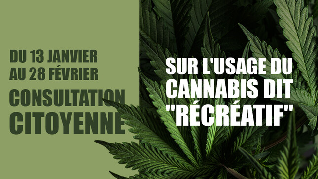 cannabis récréatif - consultation citoyenne